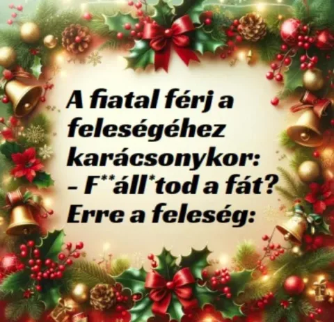 Vicc: A fiatal férj a feleségéhez karácsonykor: - Vicc: A fiatal férj a feleségéhez karácsonykor: –