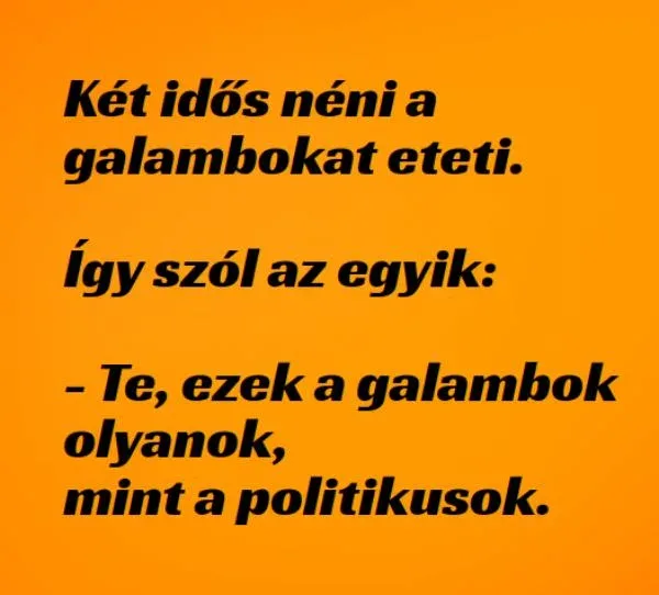 Vicc: A galambok pont olyanok, mint a politikusok - Vicc: A galambok pont olyanok, mint a politikusok –