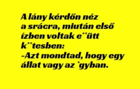 Vicc: A lány kérdőn néz a srácra, miután –