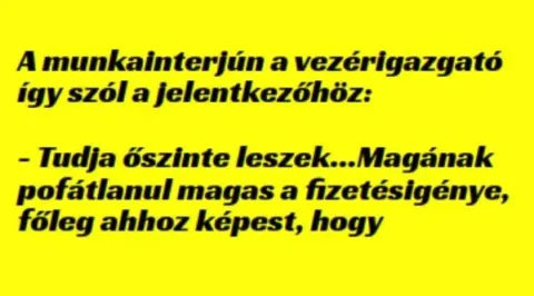 Vicc: A munkainterjún a vezérigazgató így szól a jelentkezőhöz: -…