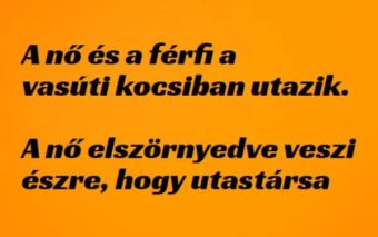 Vicc: A nő és a férfi a vasúti kocsiban - Vicc: A nő és a férfi a vasúti kocsiban –