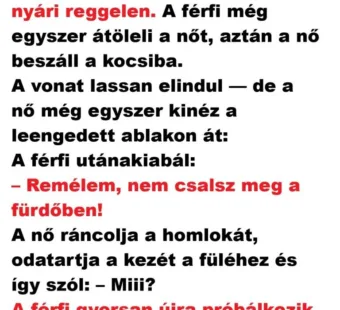 Vicc: A vasútállomáson a férfi búcsúzik a nőtől