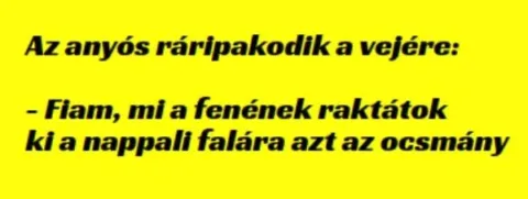 Vicc: Az anyós ráripakodik a vejére: –