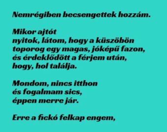 Vicc: Egy nagyon jó pasi csengetett be hozzám - Vicc: Egy nagyon jó pasi csengetett be hozzám –