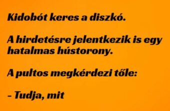 Vicc: Kidobót keresnek a diszkóba - Vicc: Kidobót keresnek a diszkóba –