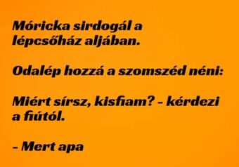 Vicc: Móricka sirdogál a lépcsőház aljában –