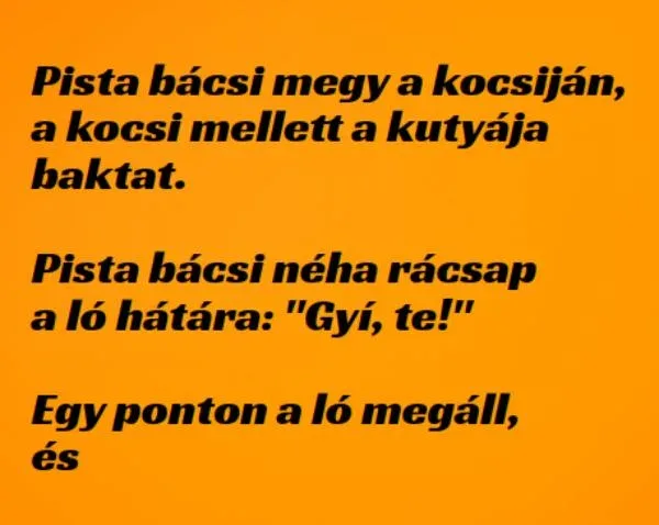 Vicc: Pista bácsi a szekéren a kutyájával - Vicc: Pista bácsi a szekéren a kutyájával –