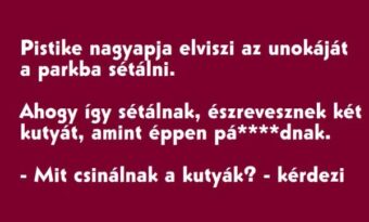 Vicc: Pistike nagyapja elviszi az unokáját a parkba sétálni – TUDNOD…
