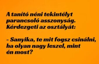 Vicc: a termetes tanítónéni esete –