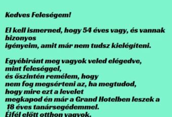 Vicc: kedves nejem –