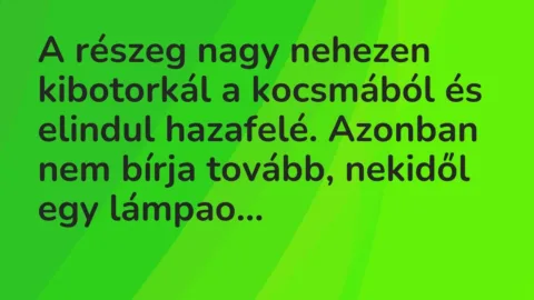 A részeg nagy nehezen kibotorkál a kocsmából és elindul hazafelé…. – Vicc A részeg nagy nehezen kibotorkál a kocsmából és elindul hazafelé…. – Vicc