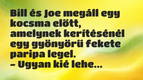Bill és Joe megáll egy kocsma előtt, amelynek kerítésénél egy gyönyörű… – Vicc