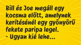 Bill és Joe megáll egy kocsma előtt, amelynek kerítésénél egy gyönyörű… – Vicc