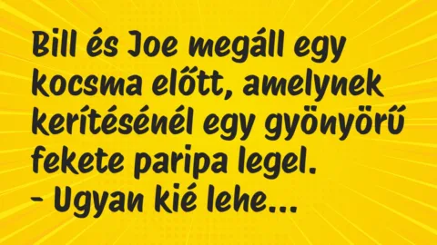Bill és Joe megáll egy kocsma előtt, amelynek kerítésénél egy gyönyörű… – Vicc