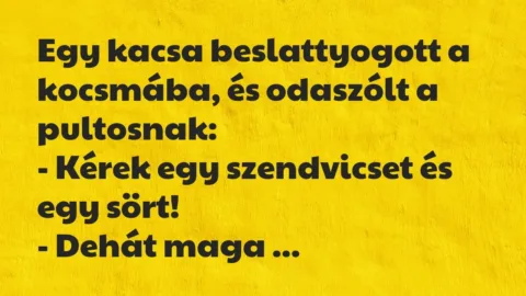Egy kacsa beslattyogott a kocsmába, és odaszólt a pultosnak:

-… – Vicc