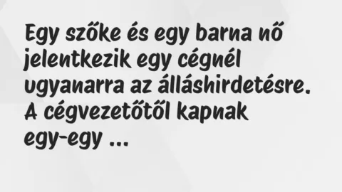Egy szőke és egy barna nő jelentkezik egy cégnél ugyanarra az… – Vicc