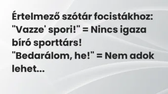 Értelmező szótár focistákhoz:

„Vazze’ spori!” = Nincs igaza bíró… – Vicc