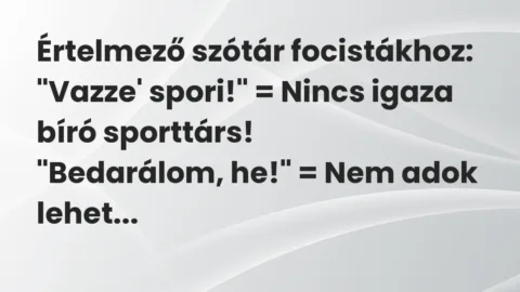 Értelmező szótár focistákhoz:
„Vazze’ spori!” = Nincs igaza bíró… – Vicc Értelmező szótár focistákhoz:
„Vazze’ spori!” = Nincs igaza bíró… – Vicc