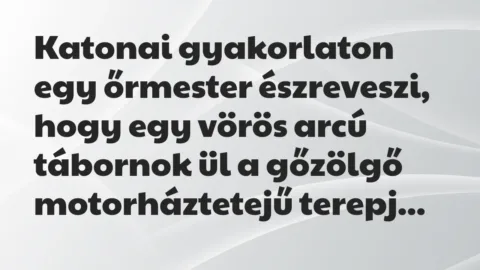 Katonai gyakorlaton egy őrmester észreveszi, hogy egy vörös arcú… – Vicc Katonai gyakorlaton egy őrmester észreveszi, hogy egy vörös arcú… – Vicc