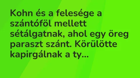 Kohn és a felesége a szántóföl mellett sétálgatnak, ahol egy öreg… – Vicc
