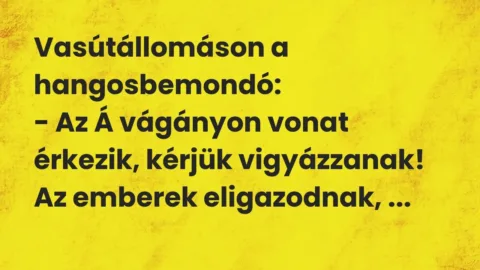 Vasútállomáson a hangosbemondó:
– Az Á vágányon vonat érkezik,… – Vicc Vasútállomáson a hangosbemondó:
– Az Á vágányon vonat érkezik,… – Vicc