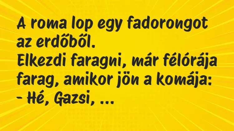 Vicc: A roma lop egy fadorongot az erdőből.
Elkezdi faragni, már… Vicc: A roma lop egy fadorongot az erdőből.
Elkezdi faragni, már…