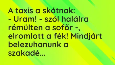 Vicc: A taxis a skótnak:

– Uram! – szól halálra rémülten a sofőr -,…
