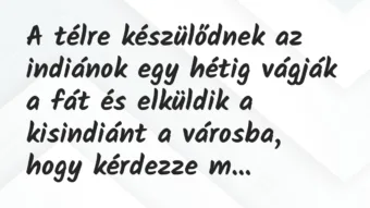 Vicc: A télre készülődnek az indiánok egy hétig vágják a fát és elküldik a…