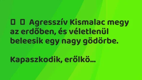 Vicc:
Agresszív Kismalac megy az erdőben, és véletlenül beleesik … Vicc:
Agresszív Kismalac megy az erdőben, és véletlenül beleesik …