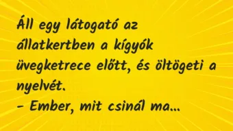 Vicc: Áll egy látogató az állatkertben a kígyók üvegketrece előtt, és…