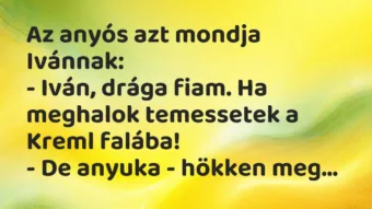 Vicc: Az anyós azt mondja Ivánnak:

– Iván, drága fiam. Ha meghalok…