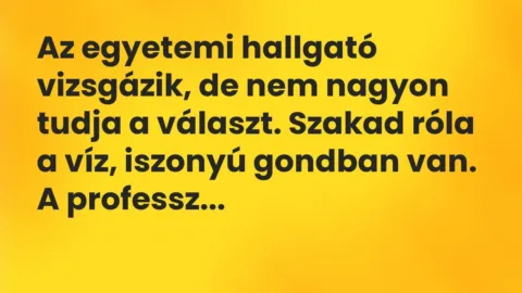 Vicc: Az egyetemi hallgató vizsgázik, de nem nagyon tudja a választ. Szakad… Vicc: Az egyetemi hallgató vizsgázik, de nem nagyon tudja a választ. Szakad…