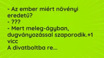 Vicc: – Az ember miért növényi eredetű?

– ???

– Mert meleg-ágyban,…