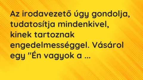 Vicc: Az irodavezető úgy gondolja, tudatosítja mindenkivel, kinek tartoznak…
