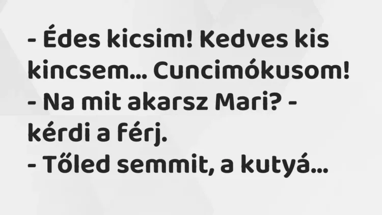 Vicc: – Édes kicsim! Kedves kis kincsem… Cuncimókusom!
– Na mit… Vicc: – Édes kicsim! Kedves kis kincsem… Cuncimókusom!
– Na mit…