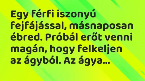 Vicc: Egy férfi iszonyú fejfájással, másnaposan ébred. Próbál erőt venni…