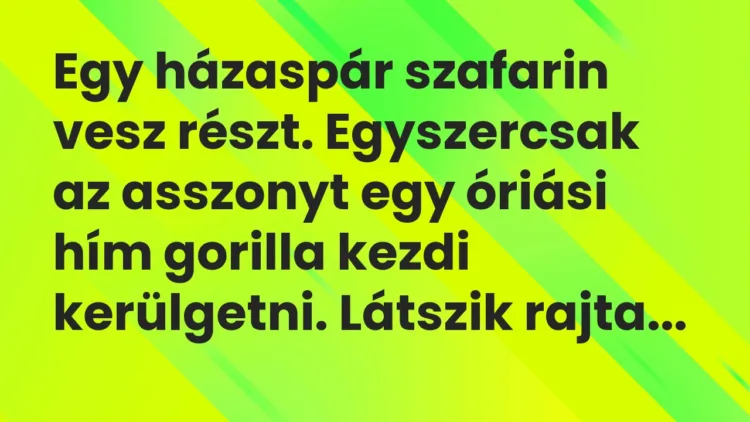 Vicc: Egy házaspár szafarin vesz részt. Egyszercsak az asszonyt egy óriási… Vicc: Egy házaspár szafarin vesz részt. Egyszercsak az asszonyt egy óriási…