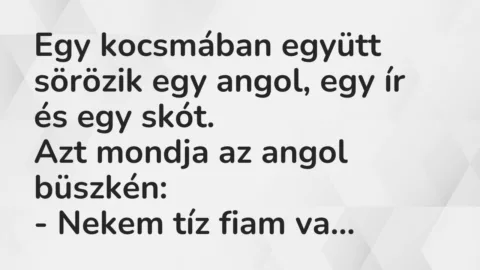 Vicc: Egy kocsmában együtt sörözik egy angol, egy ír és egy skót.

Azt…