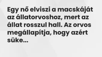 Vicc: Egy nő elviszi a macskáját az állatorvoshoz, mert az állat rosszul…