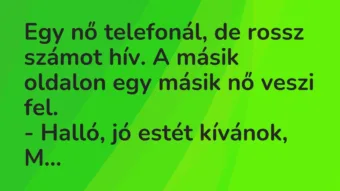 Vicc: Egy nő telefonál, de rossz számot hív. A másik oldalon egy másik nő… Vicc: Egy nő telefonál, de rossz számot hív. A másik oldalon egy másik nő…