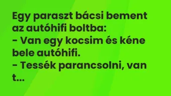 Vicc: Egy paraszt bácsi bement az autóhifi boltba:

– Van egy kocsim és…
