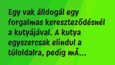 Vicc: Egy vak álldogál egy forgalmas kereszteződésnél a kutyájával. A kutya…
