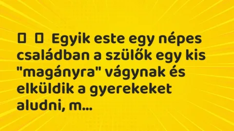 Vicc:
Egyik este egy népes családban a szülők egy kis „magányra” … Vicc:
Egyik este egy népes családban a szülők egy kis „magányra” …