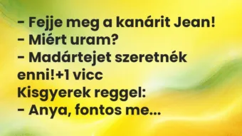 Vicc: – Fejje meg a kanárit Jean!
– Miért uram?
– Madártejet… Vicc: – Fejje meg a kanárit Jean!
– Miért uram?
– Madártejet…