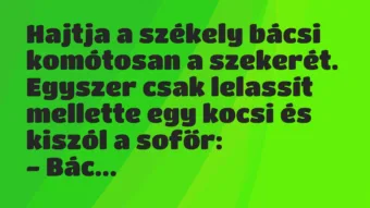 Vicc: Hajtja a székely bácsi komótosan a szekerét. Egyszer csak lelassít… Vicc: Hajtja a székely bácsi komótosan a szekerét. Egyszer csak lelassít…