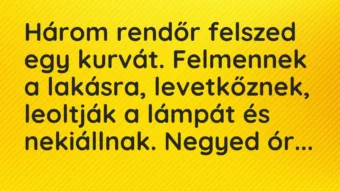 Vicc: Három rendőr felszed egy kurvát. Felmennek a lakásra, levetkőznek,… Vicc: Három rendőr felszed egy kurvát. Felmennek a lakásra, levetkőznek,…