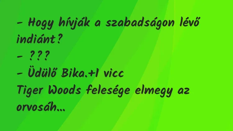 Vicc: – Hogy hívják a szabadságon lévő indiánt?
– ???
– Üdülő… Vicc: – Hogy hívják a szabadságon lévő indiánt?
– ???
– Üdülő…