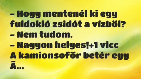 Vicc: – Hogy mentenél ki egy fuldokló zsidót a vízből?

– Nem…