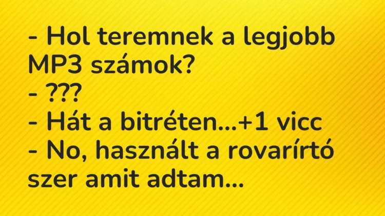 Vicc: – Hol teremnek a legjobb MP3 számok?
– ???
– Hát a… Vicc: – Hol teremnek a legjobb MP3 számok?
– ???
– Hát a…