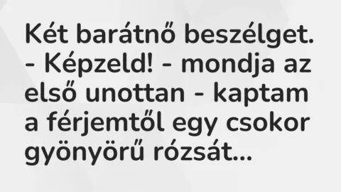 Vicc: Két barátnő beszélget.

– Képzeld! – mondja az első unottan -…